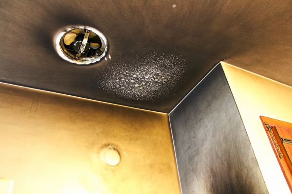 Smoke Damage Removal in Bowie